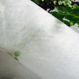 Ücretsiz örnek 40 derece beyaz PVA Soğuk Suda Çözünür Nonwoven Kumaş rulo halinde